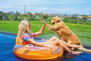 Pet-Friendly Vacation Rentals in Fort Lauderdale